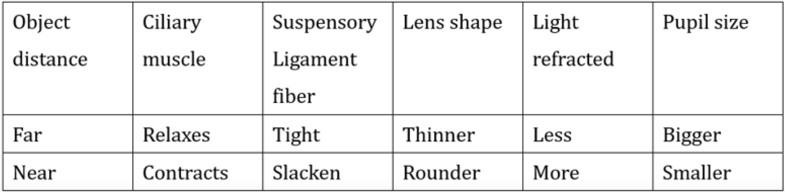 lens vs pupil table